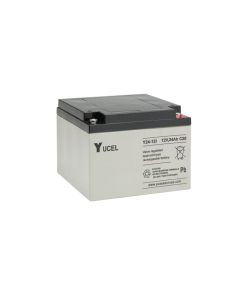 Yucel 12V 24Ah battery
